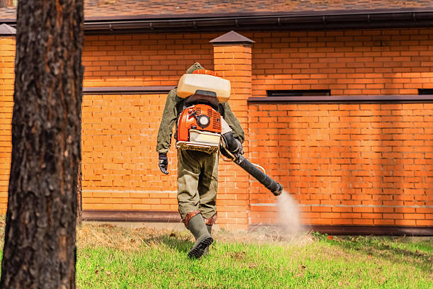 Bed Bug Clearance Verification and Documentation in La Vernia